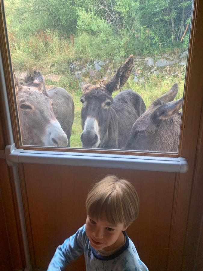 Pied des pistes, pleine nature Ustou Extérieur photo