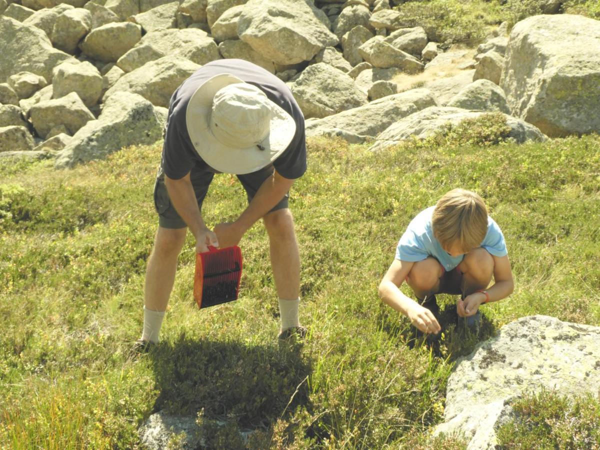Pied des pistes, pleine nature Ustou Extérieur photo