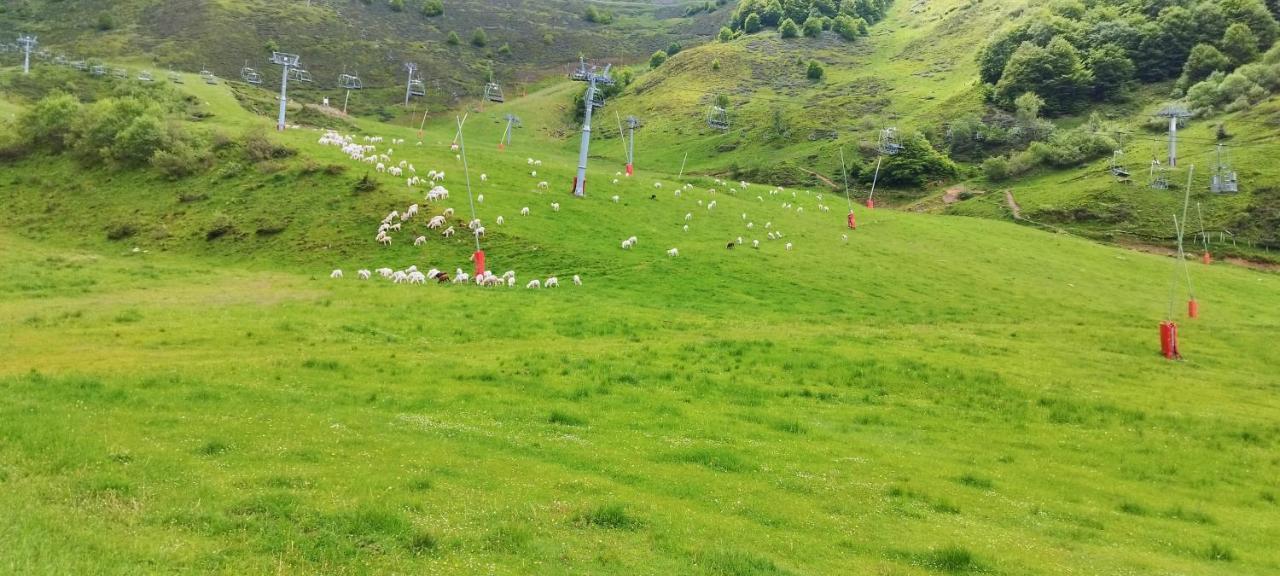 Pied des pistes, pleine nature Ustou Extérieur photo