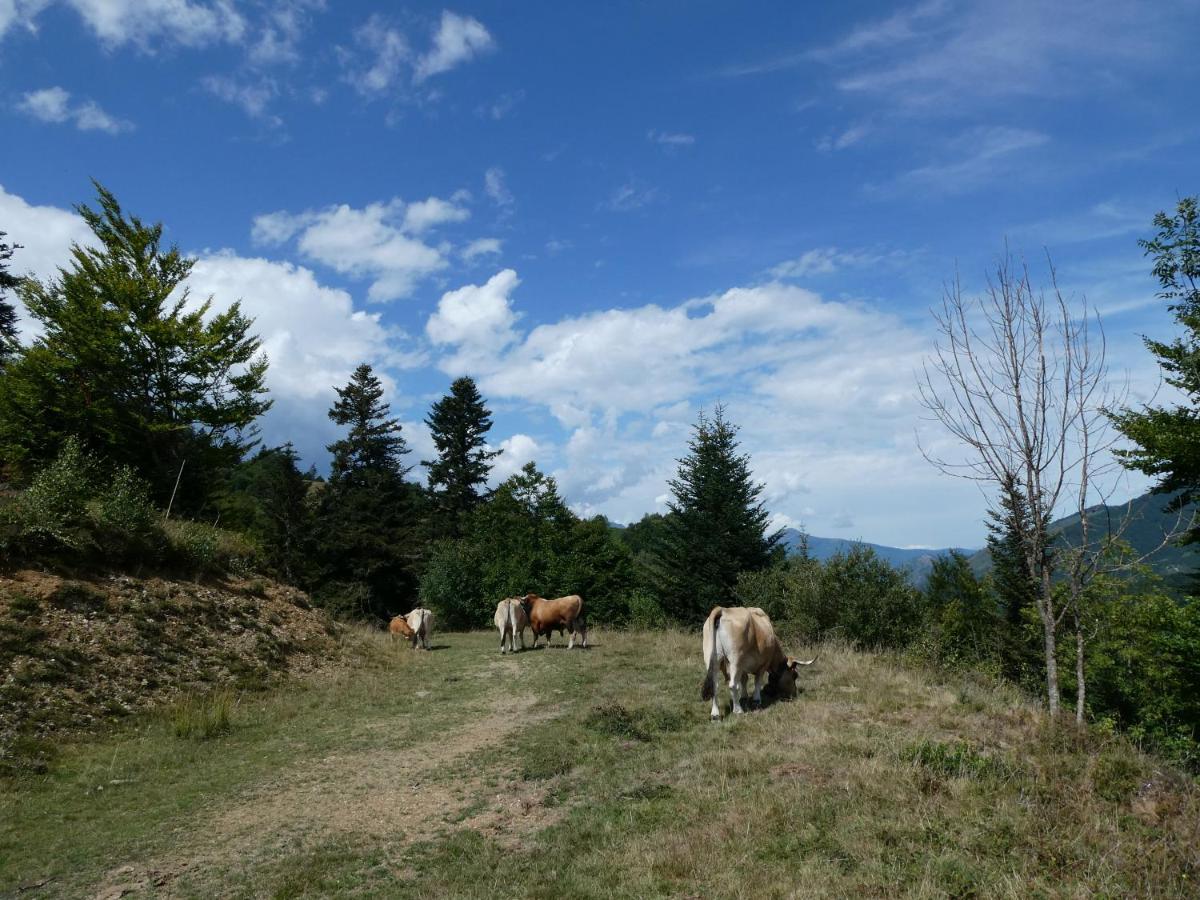 Pied des pistes, pleine nature Ustou Extérieur photo